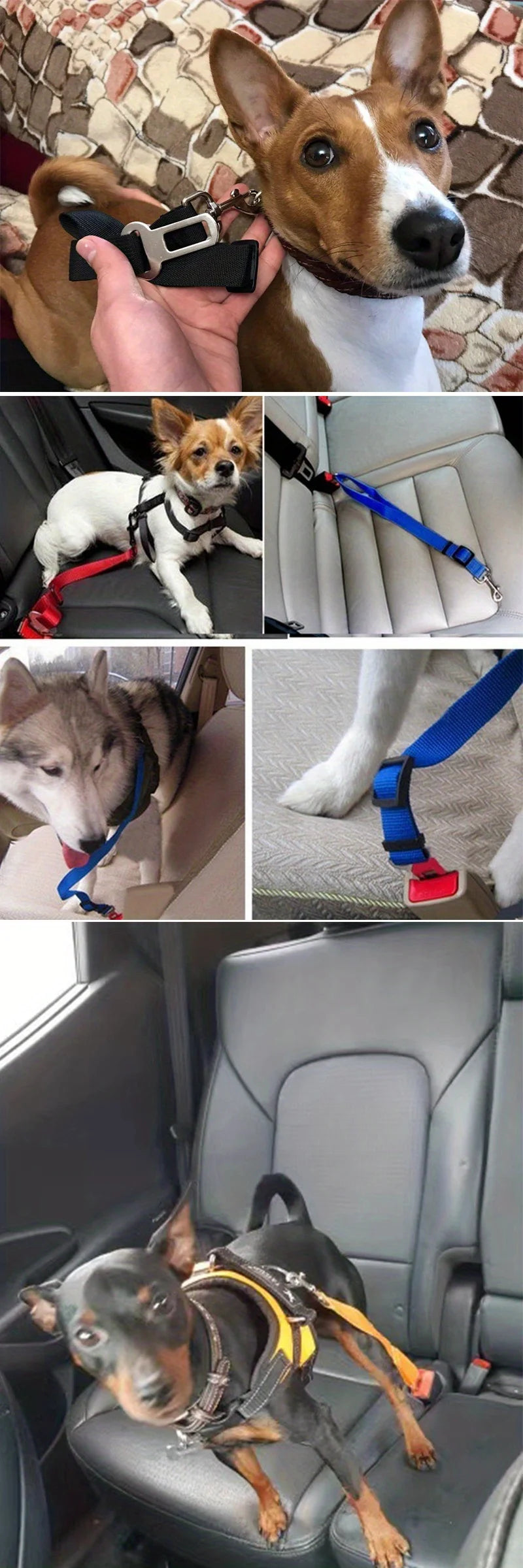 Adjustable Harness and Leash Cat Dog Car Seat Belt Pet Seat Vehicle Dog Harness Lead Clip TractionCar Travel Supplies for Dogs - My Store