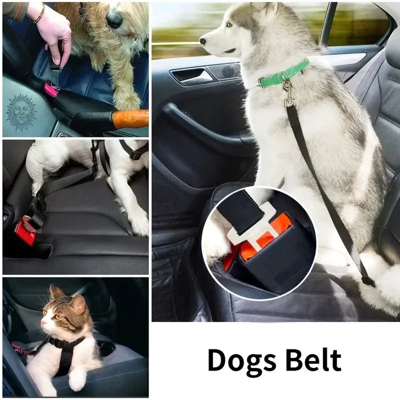 Adjustable Harness and Leash Cat Dog Car Seat Belt Pet Seat Vehicle Dog Harness Lead Clip TractionCar Travel Supplies for Dogs - My Store