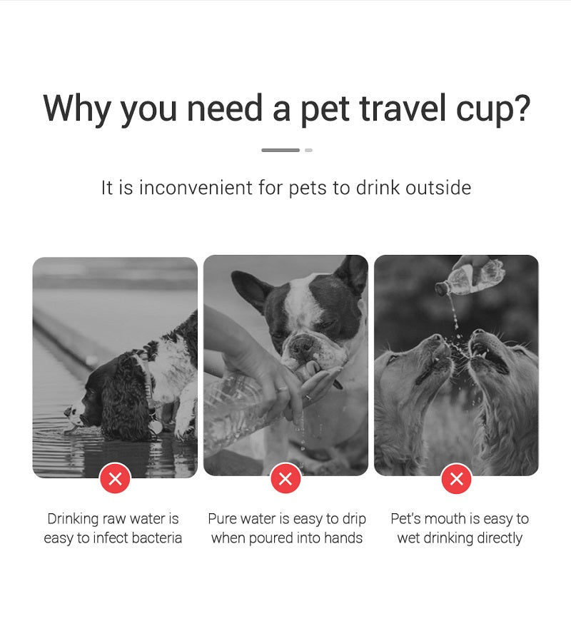 Portable Dog Water Bottle For Small Large Dogs Cat Outdoor Leakproof Walking Drinking Bowls Chihuahua French Bulldog Supplies - My Store